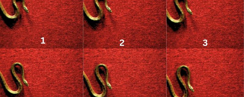 शिशु ॲनाकोंडाच्या S-स्टार्ट गतीचे टप्पे.