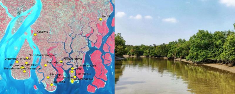 Sundarbans