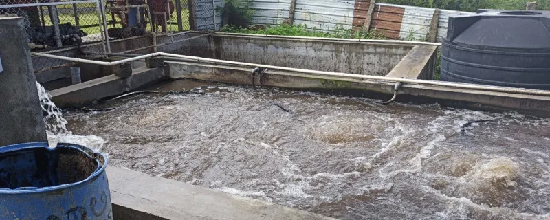 A wastewater treatment plant