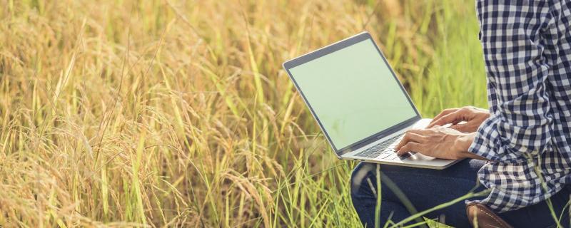 Working on Laptop next to a farm
