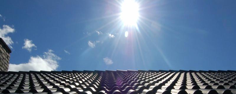 प्रतिनिधिक छवि : मोरालिस्ट CC BY 3.0 Wikimedia Commons के द्वारा 