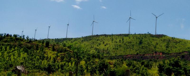 Navigating the Green Path: India's Climate Journey Explored