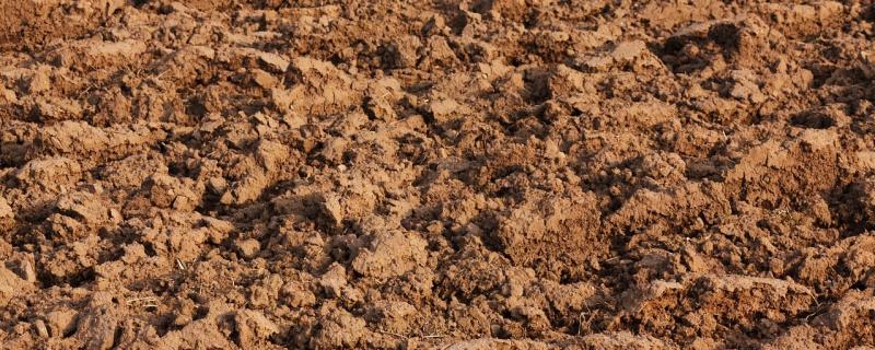 जमिनीखाली हजारो मीटर खोल सूक्ष्मजीव असल्याचा पुरावा वैज्ञानिकांना सापडला