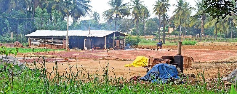 Air pollution hurts rural India too, not just its cities