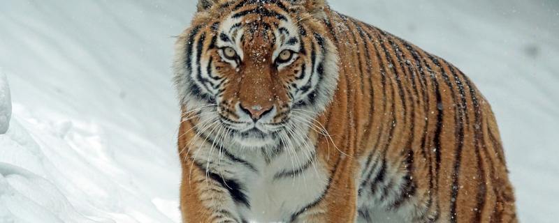 This image is purely representative