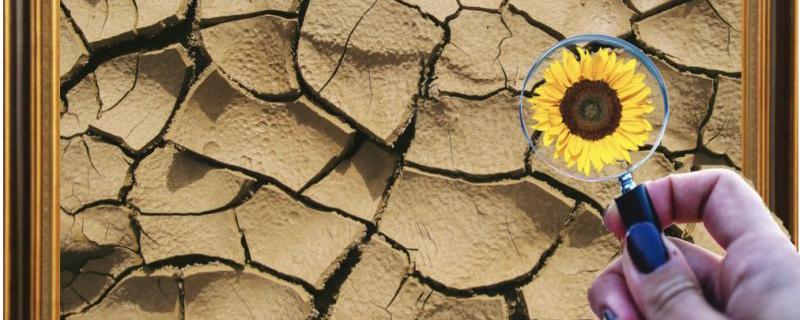 The How and the Why: Interpreting Scientific Studies - The Answer in the Jigsaw