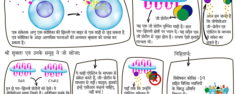अनभिव्यक्त समझे जाने वाले ग्राही पाए गए अभिव्यक्त ! 