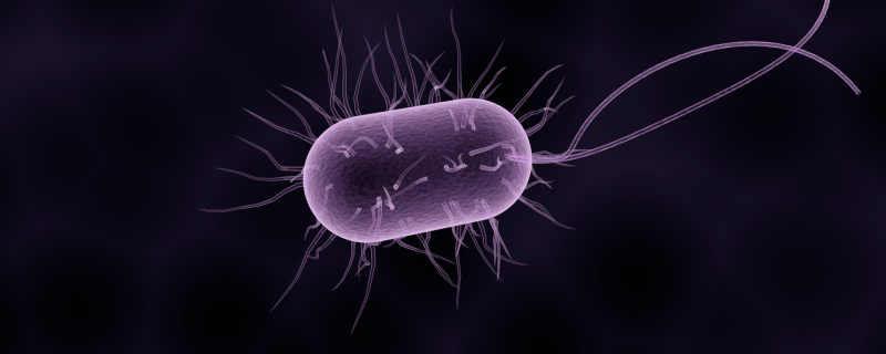 India now part of a global effort in research on antimicrobial resistance