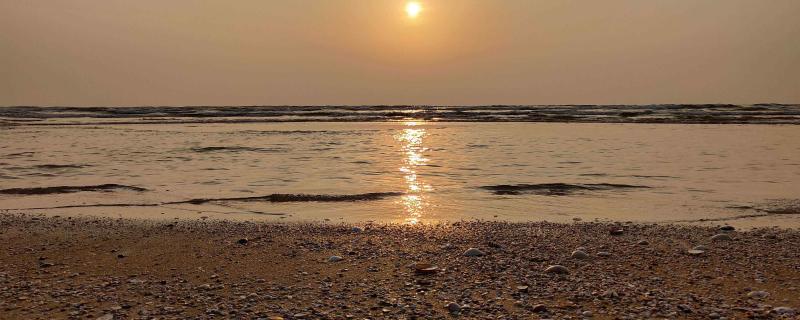 World Wildlife Day: Greening the Blue