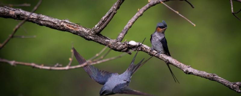 ಮಕ್ಕಳ ಆರೈಕೆ ಯಾರು ಮಾಡುತ್ತಾರೆ? ತಂದೆಯೋ ಅಥವಾ ತಾಯಿಯೋ? 