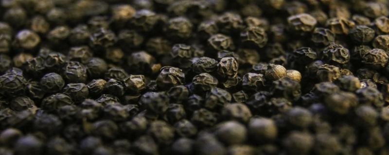 Paparazzi on the black pepper