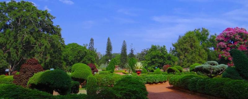 ಬೆಂಗಳೂರಿನ ಉದ್ಯಾನವನಗಳಲ್ಲಿ ಹಕ್ಕಿ ಚಿಟ್ಟೆಗಳ ಕಲರವ! 