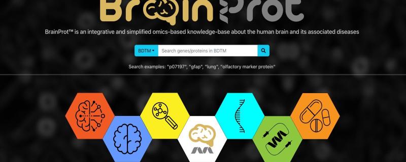 The schematic image of BrainProt