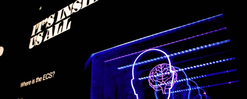 What type of intelligence do you have?