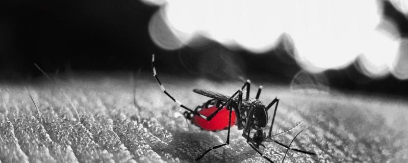 முடக்குங்காய்ச்சல் - நோய் தடுப்பு மேலாண்மைக்கு முழுமையான நோய் தொற்றியல் ஆய்வுகளின் தேவை