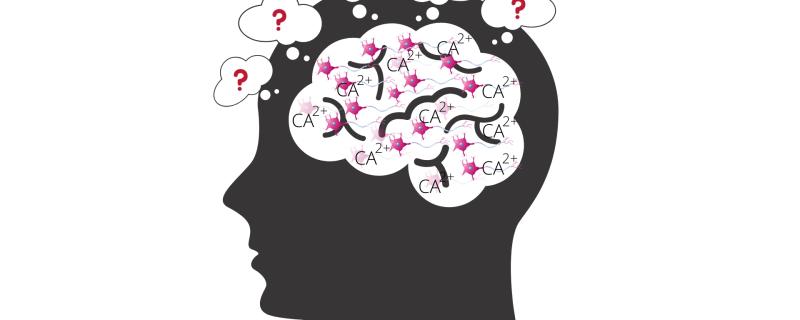 Calcium regulation may be making way for new memories in your brain, finds study.