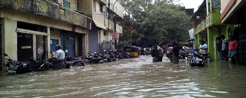 Fighting floods the 'expert' way