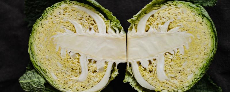 Can we always make copies of objects?