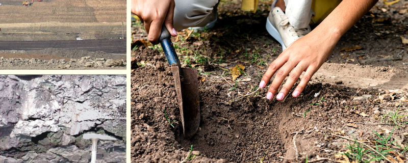 Pollen fossils from India tell a tale