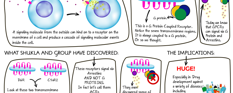 Silent receptors discovered to be not so silent
