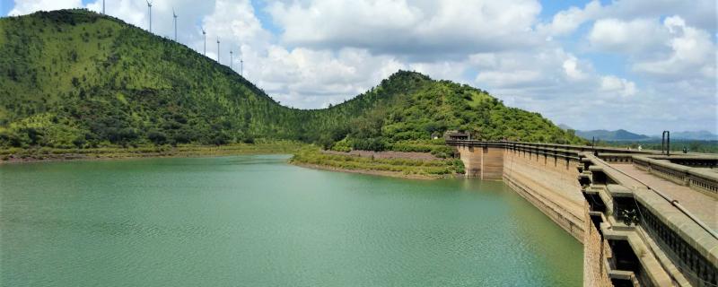 Dams are dividing the world’s fish habitats, and India is one of the most affected