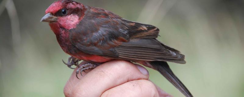 Photo : Dr. Farah Ishtiaq