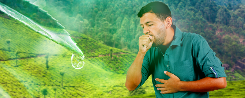 Dew point Hike and Tuberculosis Spike