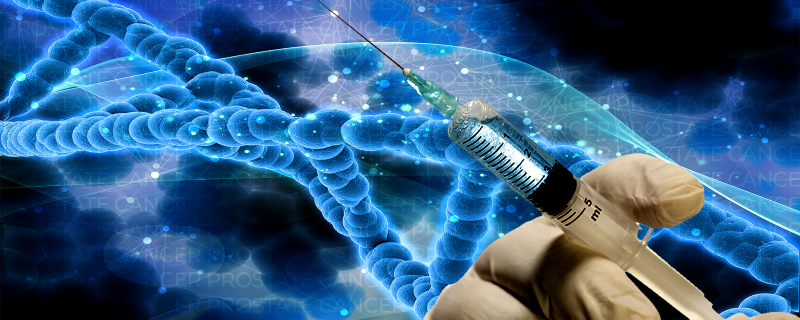 The role of a body patterning gene in driving prostate cancer now explained