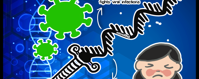 MicroRNA, a double-edged sword: role in viral infections and autoimmune diseases