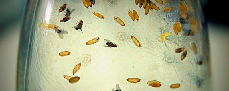 Photo : Siddharth Kankaria / Research Matters