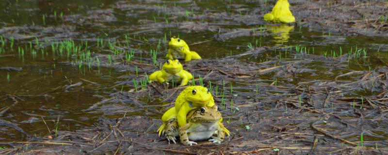 Photo: Vignesh Kamath/Research Matters