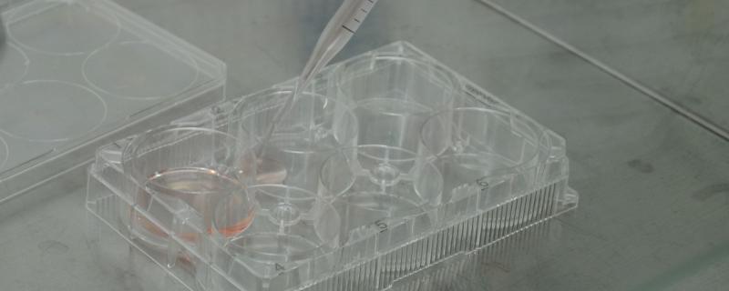 Photo : Purabi Deshpande / Research Matters