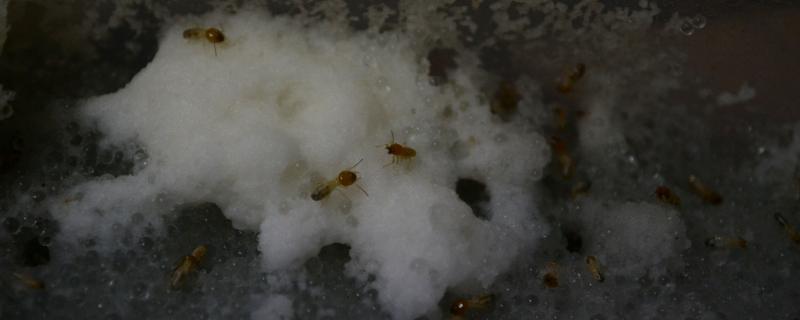 Photo : Purabi Deshpande / Research Matters