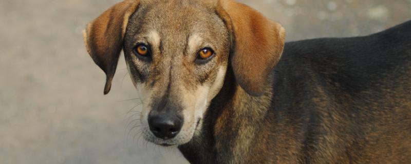 Photo : Purabi Deshpande / Research Matters