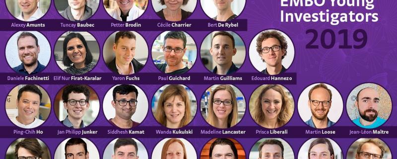 Prof Siddhesh Kamat from IISER Pune awarded EMBO Young Investigators grant