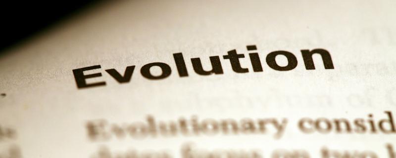 The second Indo-Swiss Meeting on Evolutionary Biology begins today