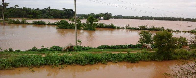 Finding flood risks at the village-level to facilitate decision-making