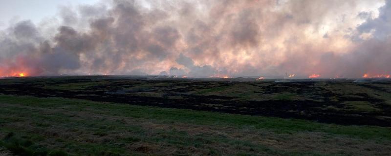 Stubble burning: USD 30 billion goes up in flames each year for India, says study 