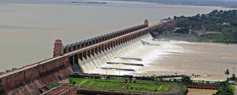Dams in the Western Ghats are altering the water and impacting the fish 