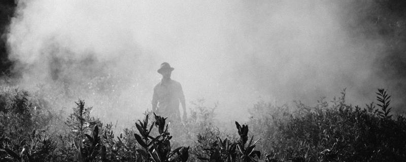 The art of crafting insect-specific pesticides using machine learning