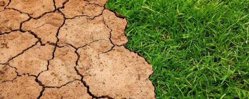 অধ্য়য়নৰ মতে গোলকীয় উষ্ণতা বৃদ্ধিয়ে বিশ্বত অর্থনৈতিক অসমতা বঢ়োৱাত সহায় কৰিছে