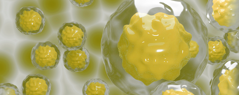 New insights in stem cell therapy