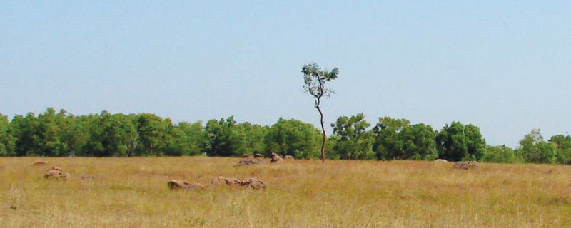 ಶ್ರೀಮಂತ ಹುಲ್ಲುಗಾವಲುಗಳು ಪಾಳುಭೂಮಿಗಳಲ್ಲ!