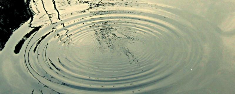 Photo : Siddharth Kankaria / Research Matters