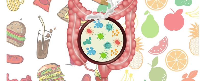 Study shows how nurturing gut microbes can address malnutrition