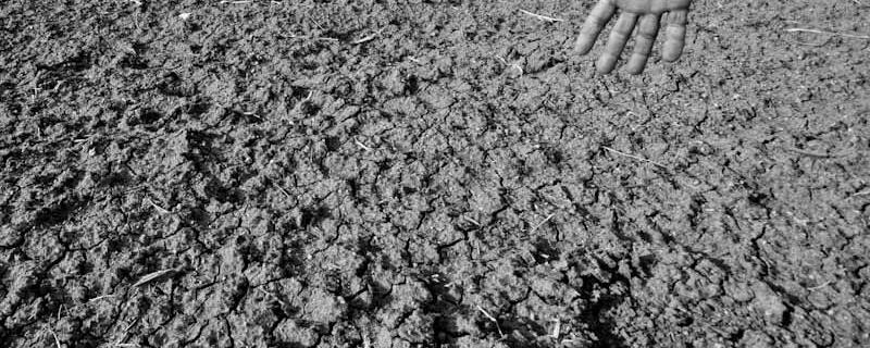 Rising heat and humidity around the globe will soon be intolerable for humans