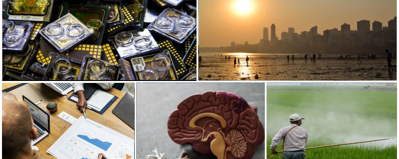 2020 के दौरान रिसर्च मैटर्स पर प्रकाशित लोकप्रिय अनुसंधानिक हिंदी कहानियाँ