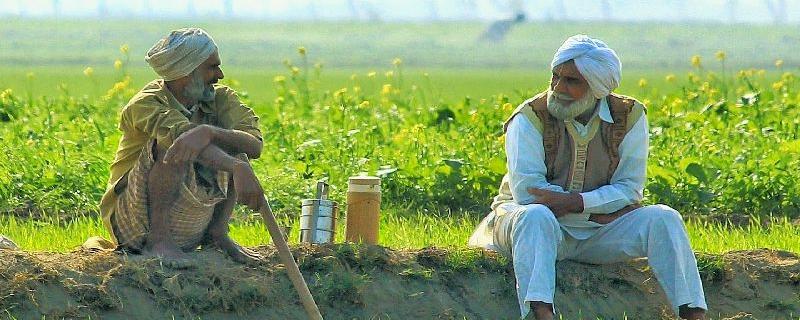 How do Indian farmers adapt to climate change amid socio-economic hurdles?