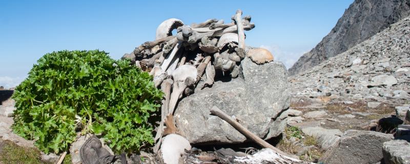 গৱেষণাৰ সহায়ত হিমালয়ৰ ৰূপকুণ্ড হ্ৰদত থকা নৰ-কংকালৰ ৰহস্য উৎঘাটন