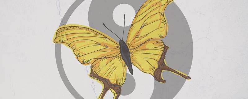 Annie Santamaria/ Research Matters